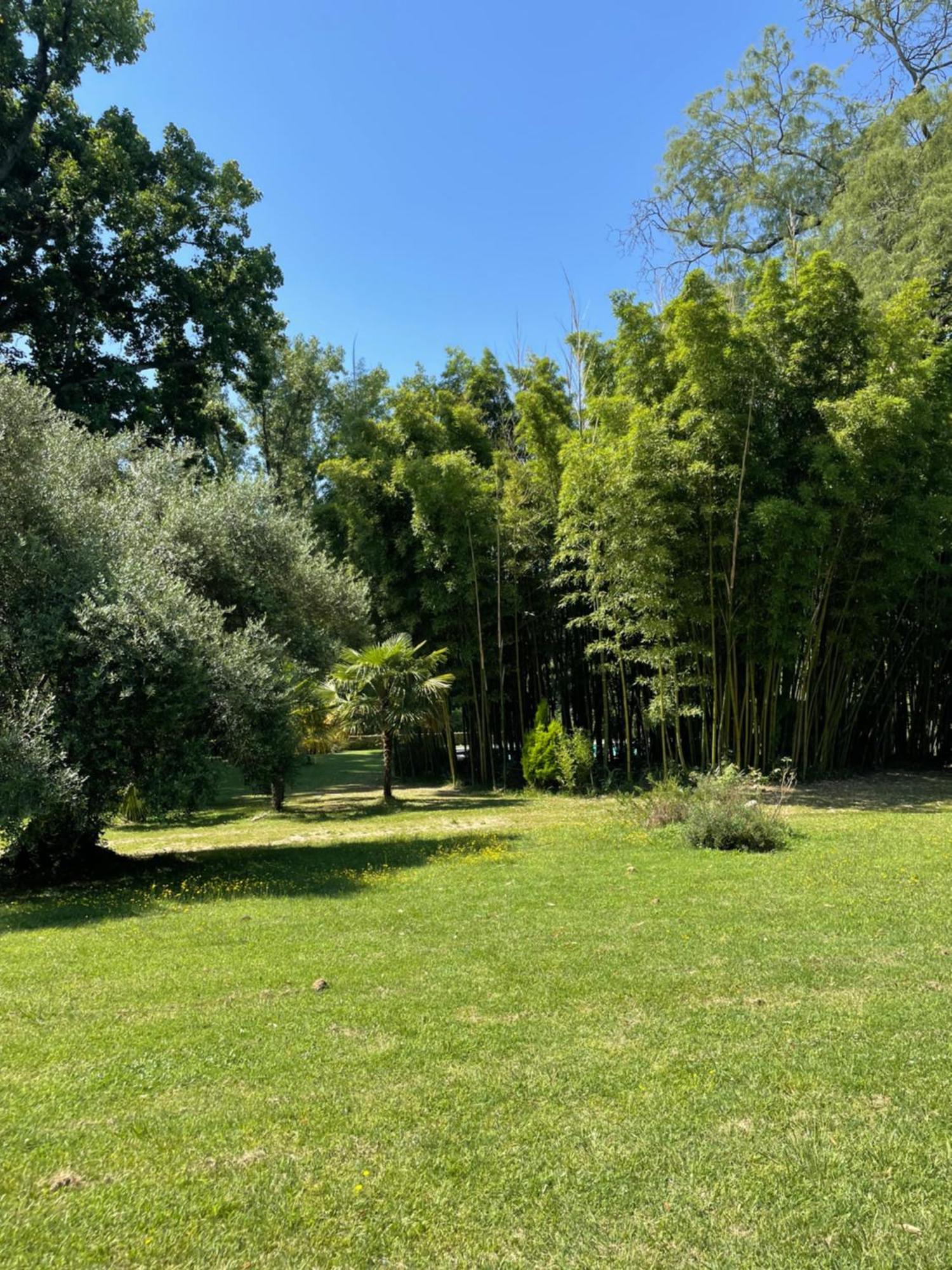 La Rebiere D'Or, B&B Et Gite Mouleydier Εξωτερικό φωτογραφία